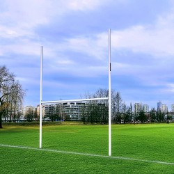 Профессиональные,...